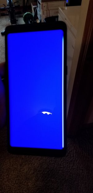 Attach3018_20180408_173049.jpg