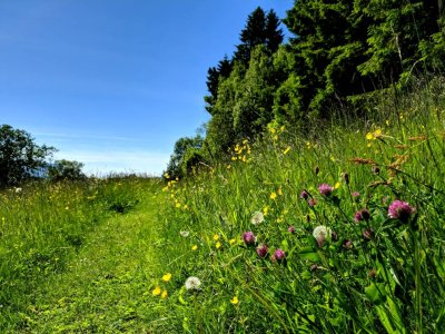 20180606_155727.jpg