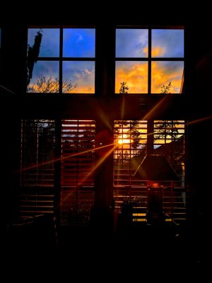 MVIMG_20180302_174237-01.jpg