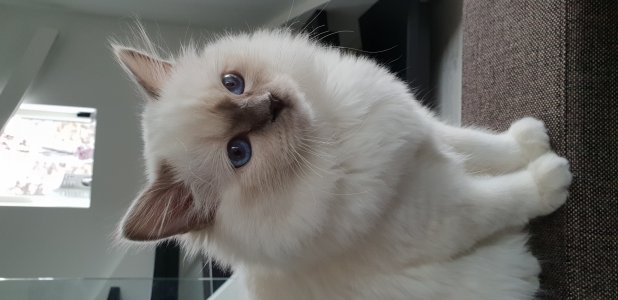 20180406_180550.jpg