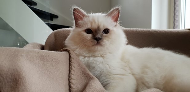 20180408_114725.jpg