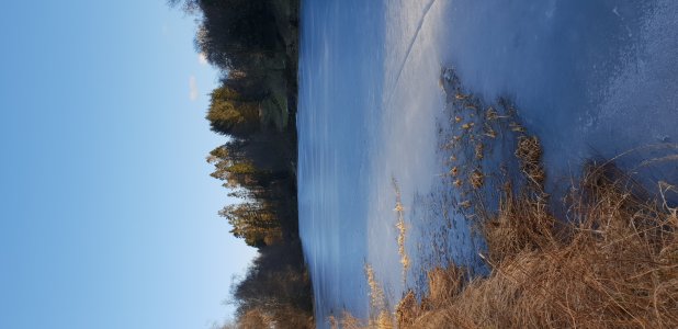 20180331_184954.jpg