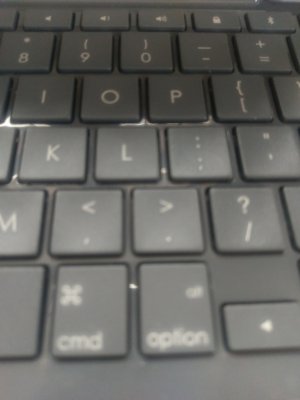 IMAG0006.jpg