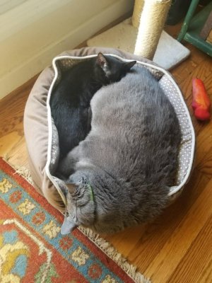 Attach5476_20180308_152010.jpg