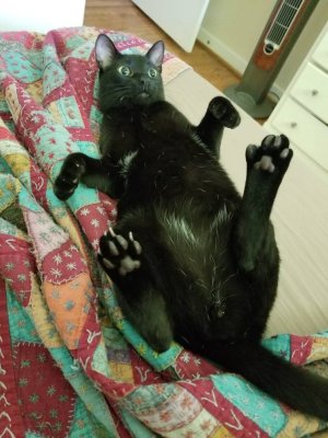 20180610_082238.jpg