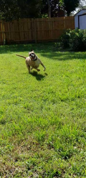 20180610_100705_capture(0).jpg