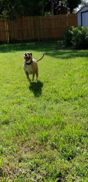 20180610_100705_capture(2).jpg