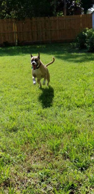 20180610_100705_capture(3).jpg