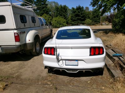 IMG_20180518_101312101_HDR - Copy.jpg