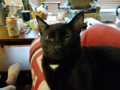 20180405_184601.jpg