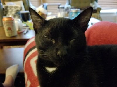20180405_184722.jpg