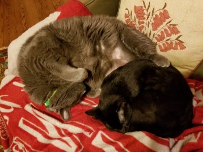 20180310_143106.jpg