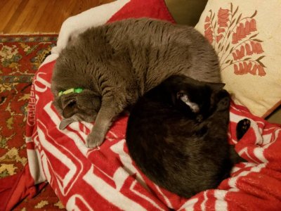 20180310_151327.jpg