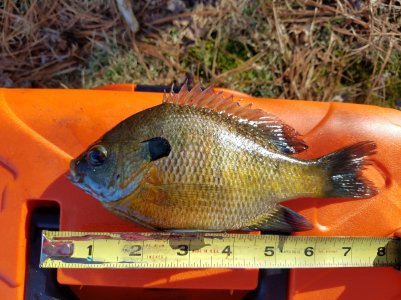 20180227_143905.jpg