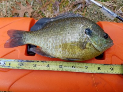 20180223_122217.jpg