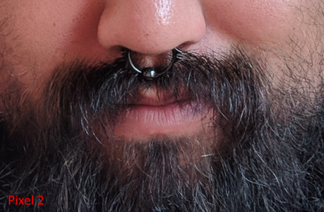 Beard PX2.png