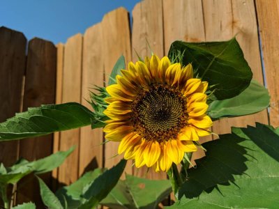 IMG_20180614_175048.jpg