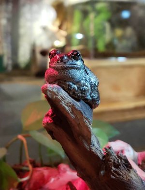 20180415_124012.jpg