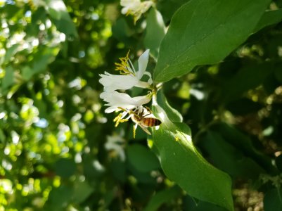 20180415_152747.jpg