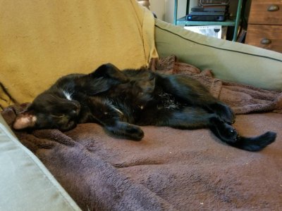 20180613_153158.jpg