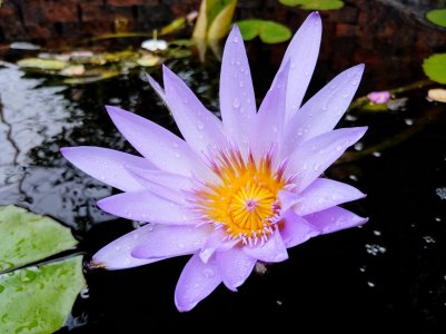 20180616_144154_HDR~2.jpg