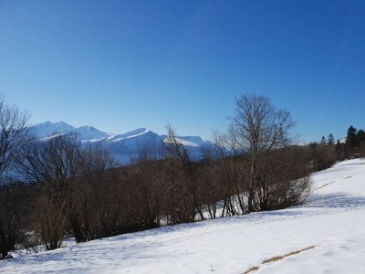 20180313_120817.jpg