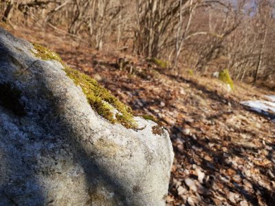 20180313_120213.jpg