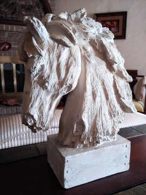 20180613_073103.jpg