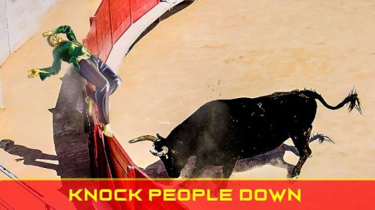 angry bull simultor.jpg