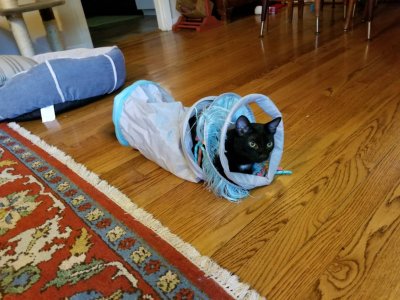 20180616_155955.jpg