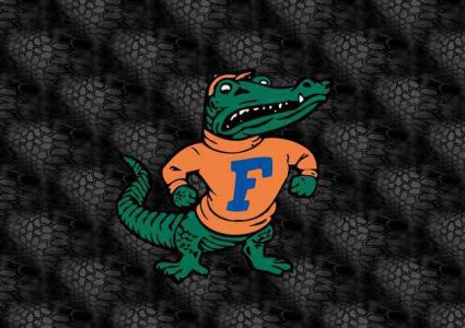 Gator.jpg