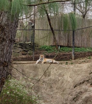 20180414_171259.jpg
