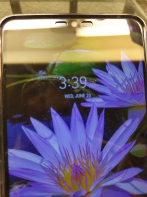 IMAG2296.jpg