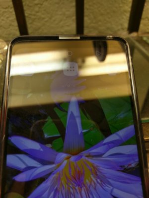 IMAG2297.jpg