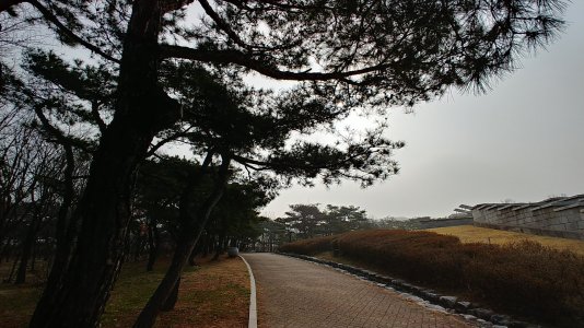 20180326_092417_HDR.jpg