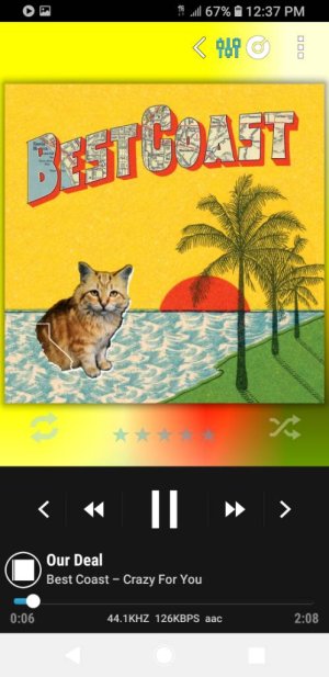 Screenshot_20180415-123743_Poweramp.jpg