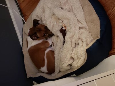 20180314_222405.jpg
