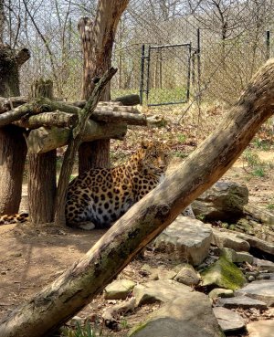20180414_174640.jpg