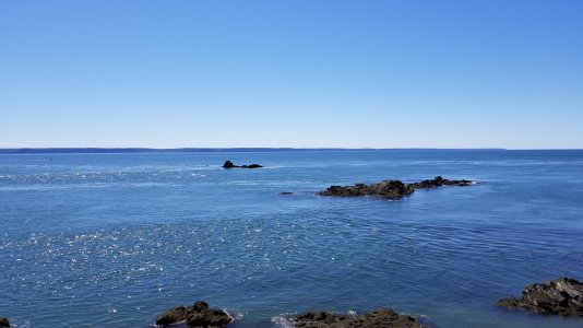 20180615_112700.jpg