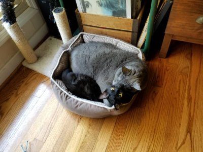 20180419_142229.jpg
