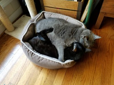 20180419_143920.jpg