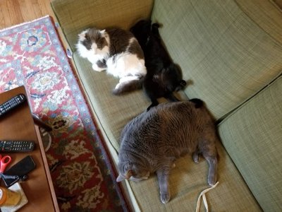 20180622_150444.jpg