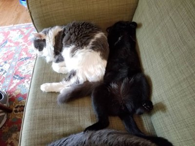 20180622_150343.jpg