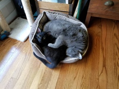 20180420_092426.jpg