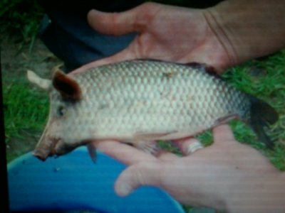 Photo1770.jpg Photo1770.jpg