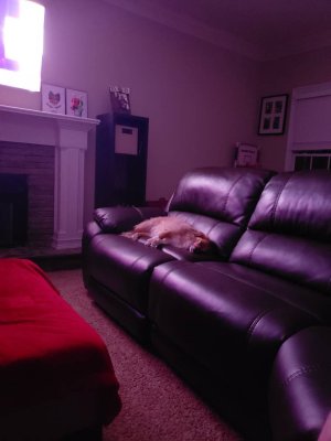 20180313_211128.jpg