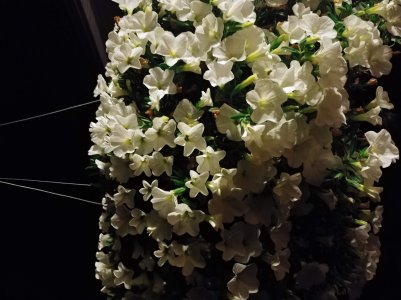 20180622_234318.jpg