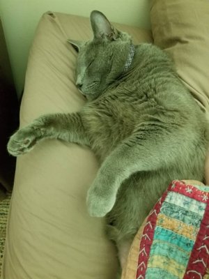 20180624_095811.jpg