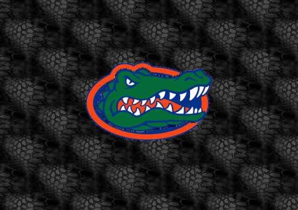 Gator.jpg