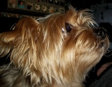 20180315_175437-01-01.jpg
